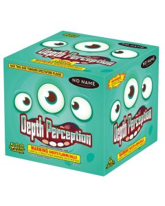 nn5081-depth-perception